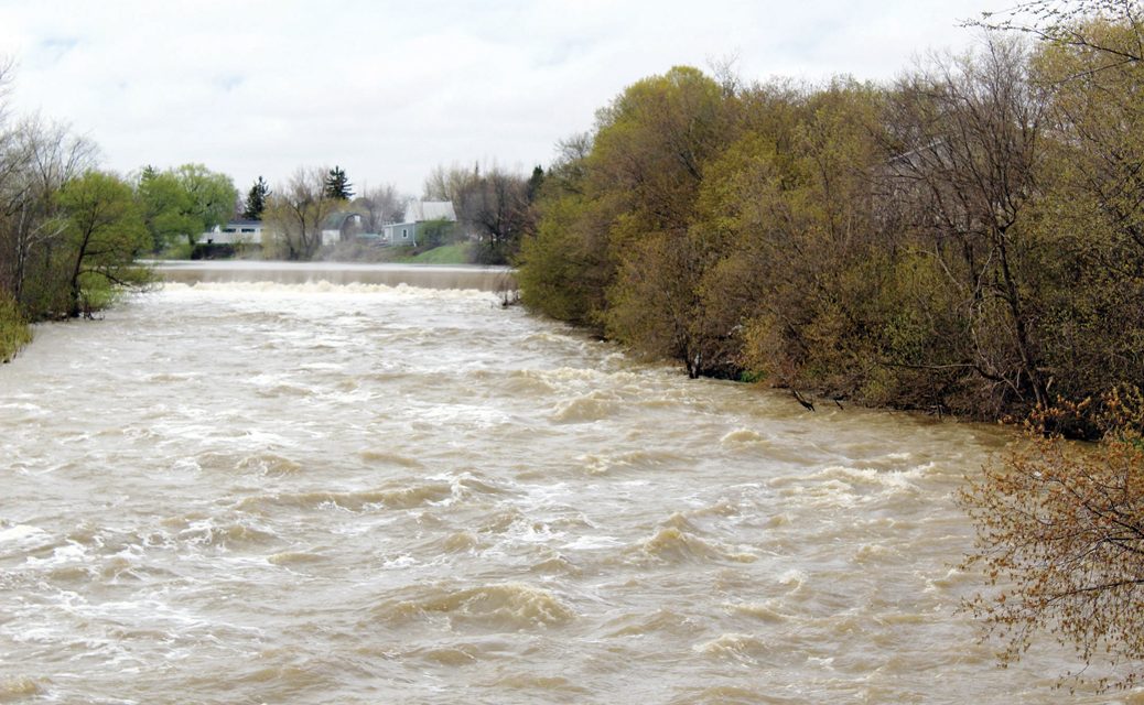 Flooding overtakes Ottawa River banks in UCPR