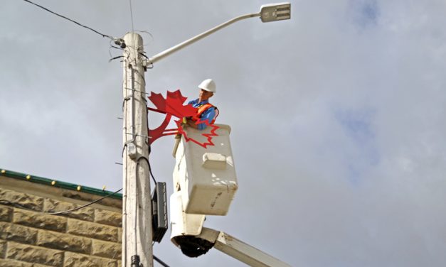 Rotary Club commissions new leaves for Canada 150