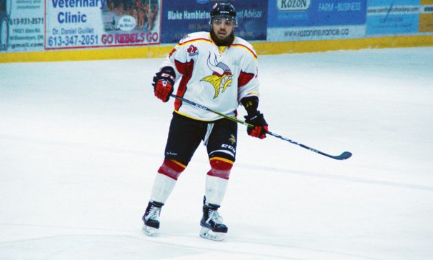 Vikings clinch first place in Martin Division
