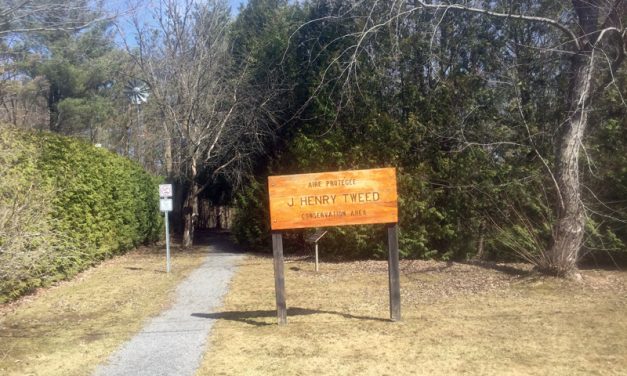 Spring improvements underway at SNC’s J. Henry Tweed Conservation Area