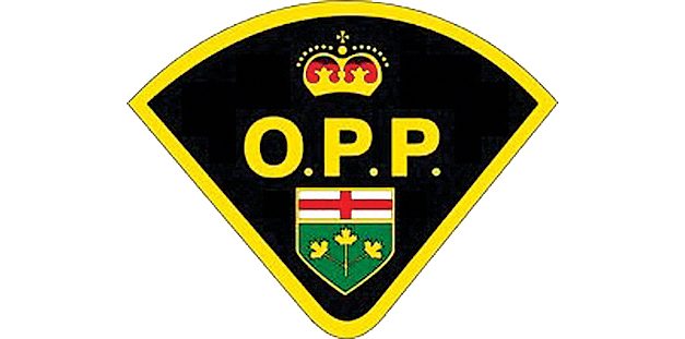 OPP request public’s assistance in identifying suspicious vehicle