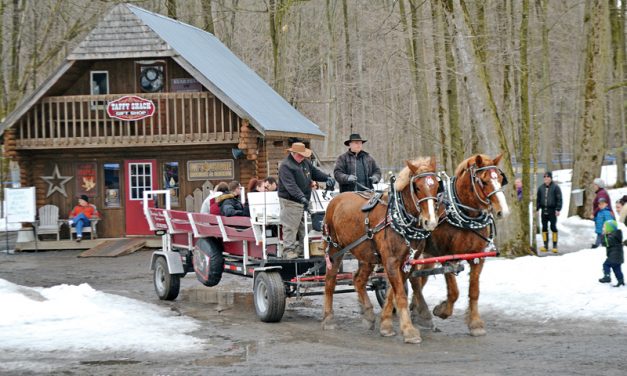 Maple Weekend celebrated by sugar bushes across Ontario
