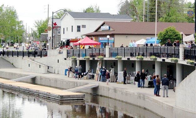 Art on the Waterfront returns for another successful year