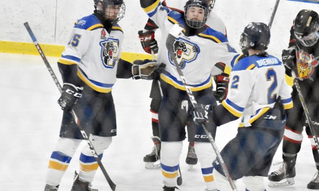 Panthers push for home ice, Vikings settle for fourth