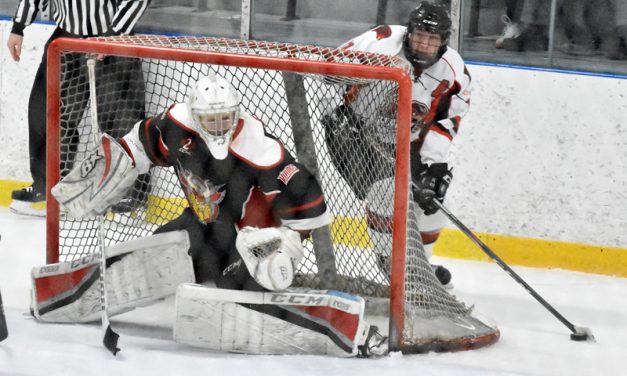 Hawks win final game of regular season, move on to face Vikings in playoffs