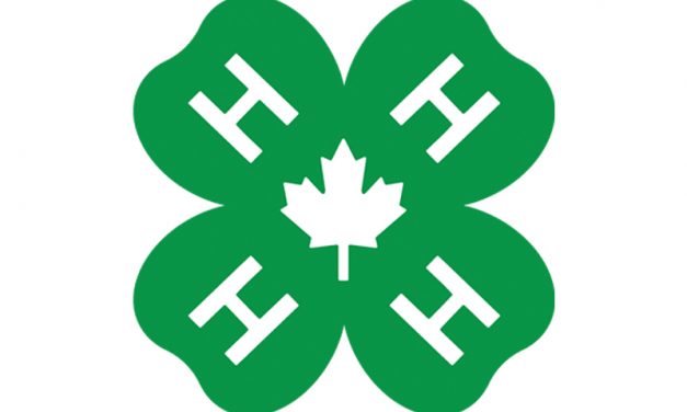 4-H members take part in virtual run