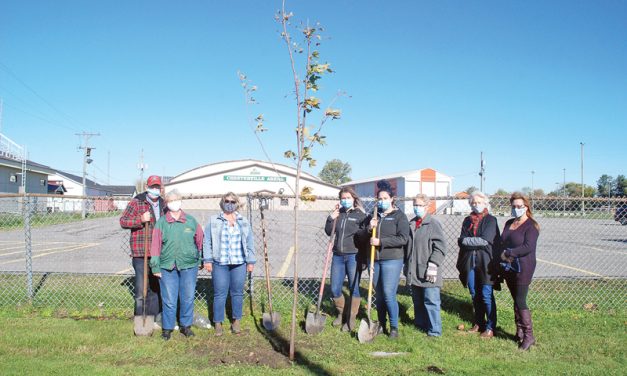 Planting for the future