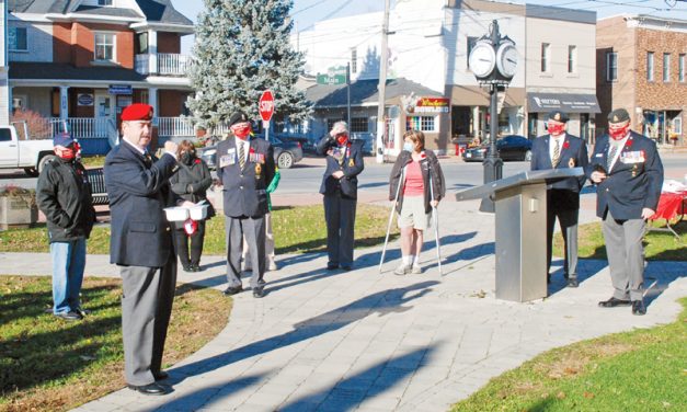 Poppy drive kicks off in Winchester