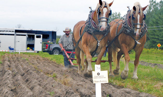 Association holds first plowing match