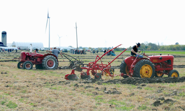 Competitors flock to plowing match in Stormont