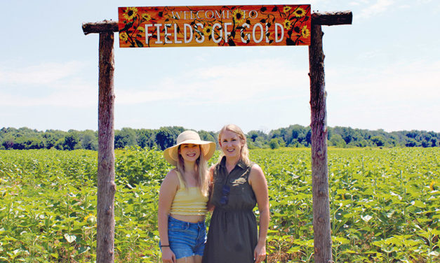 Enjoy a walk in nature at Fields of Gold