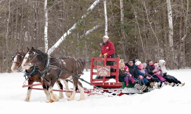 Something for everyone at the Greely Winter Carnival