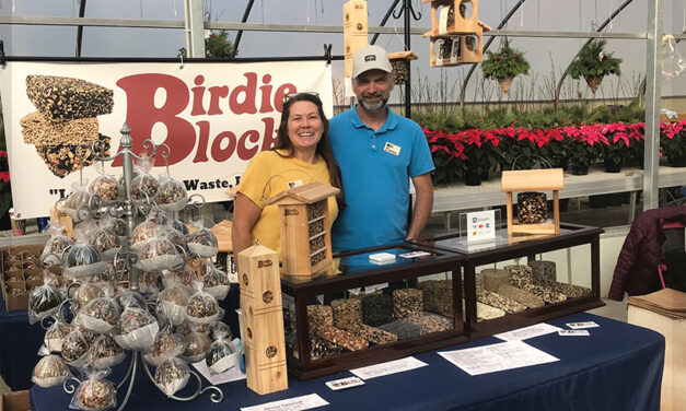 Spotlight on Business – Birdie Blocks