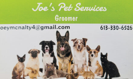 Spotlight on Business – Joe’s Pet Services